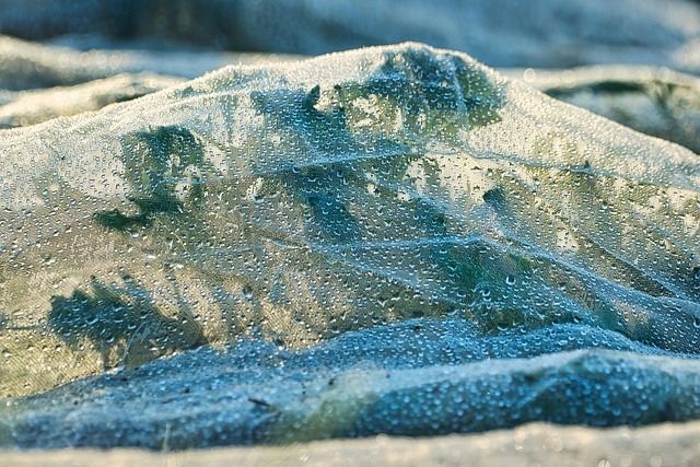 fleece, plant, close up